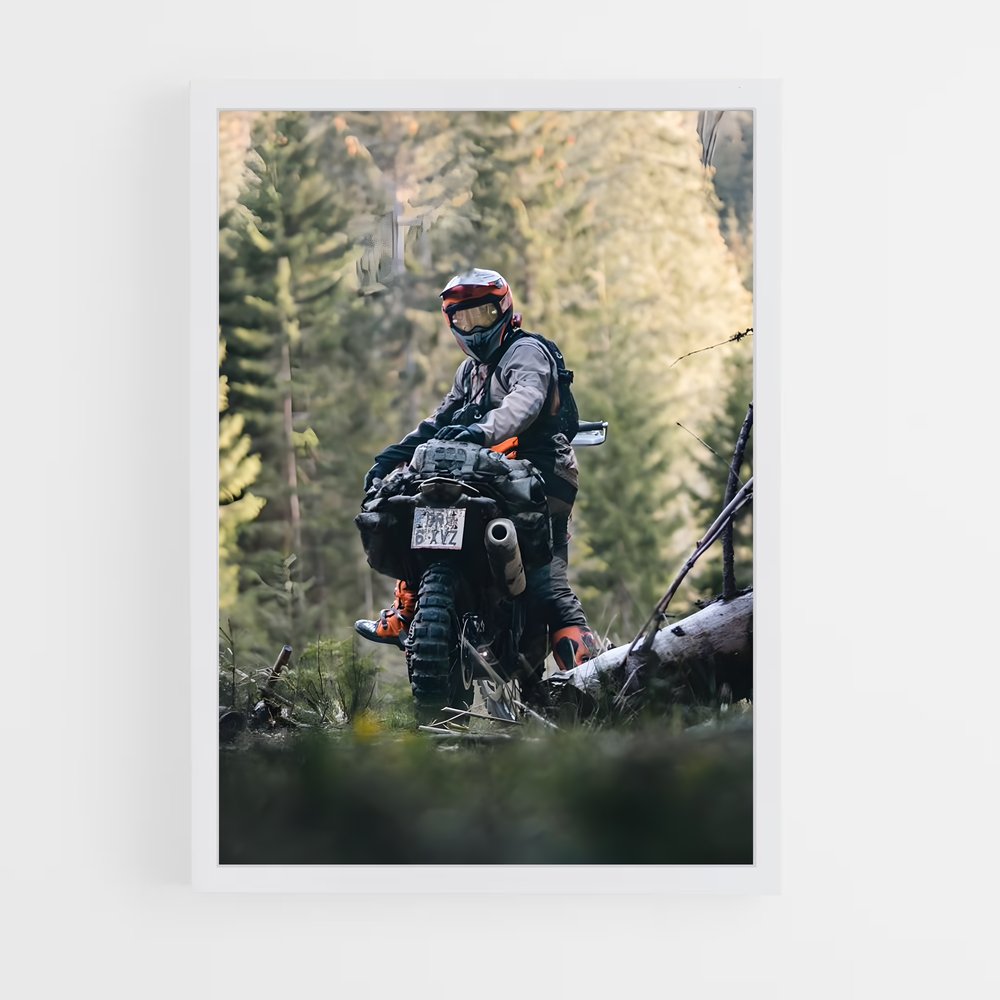 Poster Rider de la Forêt – affiche KTM Moto (vue 3)